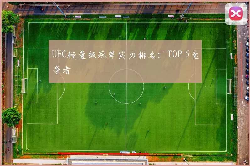 UFC轻量级冠军实力排名：TOP 5竞争者