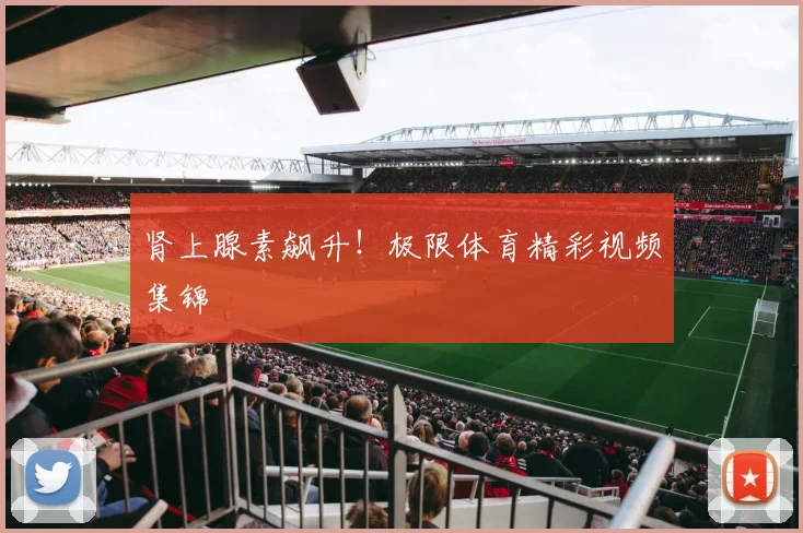 肾上腺素飙升！极限体育精彩视频集锦
